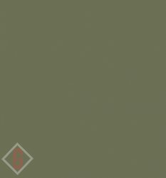 ral 6013